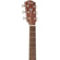 Fender PM-1: Picture 5 thumbnail