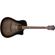 Fender T-Bucket 300-CE: Picture 1 thumbnail