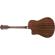 Fender T-Bucket 300-CE: Picture 2 thumbnail