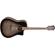 Fender T-Bucket 300-CE: Picture 3 thumbnail