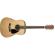 Fender CD-60: Picture 4 thumbnail