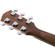 Fender CD-60: Picture 12 thumbnail