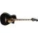 Fender Kingman Bass: Picture 3 thumbnail