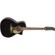 Fender California Villager: Picture 3 thumbnail