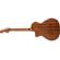 Fender Newporter Special: Picture 1 thumbnail