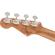 Fender Dhani Harrison: Picture 7 thumbnail