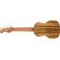 Fender Dhani Harrison: Picture 3 thumbnail