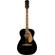 Fender Tim Armstrong Hellcat: Picture 1 thumbnail