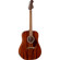 Fender California Deluxe Redondo: Picture 3 thumbnail