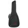 Fender FAC-610: Picture 3 thumbnail