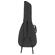 Fender FAC-610: Picture 1 thumbnail