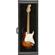 Fender 3-Ply Hardshell Wood Guitar Displ...: Picture 1 thumbnail