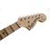 Fender Yngwie Malmsteen Strat OB: Picture 6 thumbnail