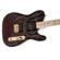 Fender James Burton Telecaster: Picture 4 thumbnail