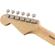 Fender American Orig '50s Strat: Picture 5 thumbnail