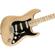 Fender American Pro Stratocaster: Picture 1 thumbnail