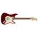 Fender Stratocaster HSS Shawbuck: Picture 3 thumbnail