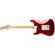 Fender Stratocaster HSS Shawbuck: Picture 4 thumbnail