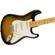Fender E Johnson Thinline Strat: Picture 4 thumbnail