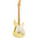 Fender E Johnson Thinline Strat: Picture 1 thumbnail