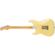 Fender E Johnson Thinline Strat: Picture 2 thumbnail