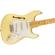 Fender E Johnson Thinline Strat: Picture 4 thumbnail