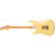 Fender E Johnson Thinline Strat: Picture 1 thumbnail