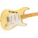 Fender E Johnson Thinline Strat: Picture 2 thumbnail