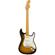 Fender E Johnson Thinline Strat: Picture 4 thumbnail