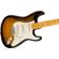 Fender E Johnson Thinline Strat: Picture 1 thumbnail