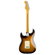 Fender American Pro II Strat: Picture 2 thumbnail