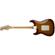Fender Stratocaster Plus Top: Picture 1 thumbnail