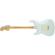 Fender American Special Strat: Picture 2 thumbnail