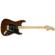 Fender American Special Strat: Picture 1 thumbnail