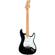 Fender Eric Clapton Stratocaster: Picture 1 thumbnail