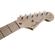 Fender Eric Clapton Stratocaster: Picture 6 thumbnail