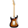 Fender Player Stratocaster: Picture 2 thumbnail