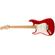 Fender Player Stratocaster: Picture 1 thumbnail
