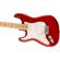 Fender Player Stratocaster: Picture 4 thumbnail