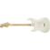 Fender Standard Stratocaster: Picture 1 thumbnail