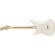 Fender Standard Stratocaster: Picture 1 thumbnail