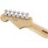 Fender Standard Stratocaster: Picture 5 thumbnail