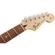 Fender Standard Stratocaster: Picture 5 thumbnail