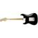 Fender Standard Stratocaster HSS: Picture 1 thumbnail