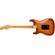 Fender Player Plus Stratocaster: Picture 3 thumbnail