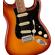 Fender Player Plus Stratocaster: Picture 5 thumbnail