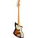Fender Player Plus Meteora: Picture 1 thumbnail
