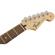 Fender Standard Stratocaster HH: Picture 5 thumbnail