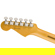 Fender American Pro II Strat: Picture 6 thumbnail