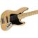 Fender American Pro Jazz Bass V: Picture 1 thumbnail